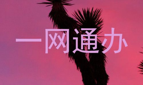一网通办