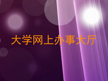 大学网上办事大厅
