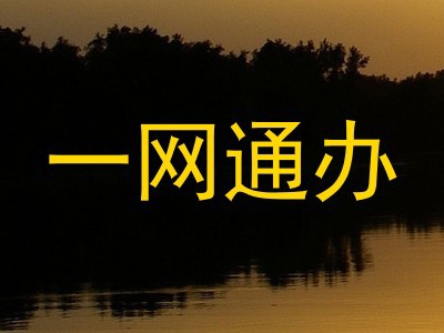 一网通办