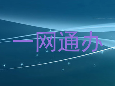 一网通办