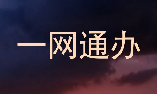一网通办