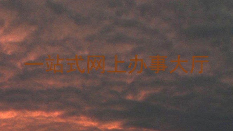 一站式网上办事大厅