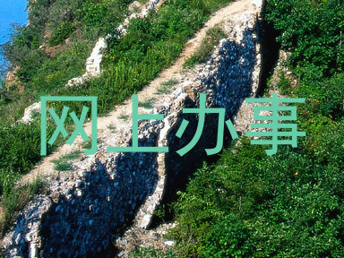网上办事