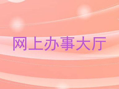 网上办事大厅