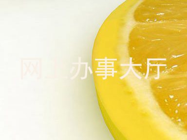 网上办事大厅