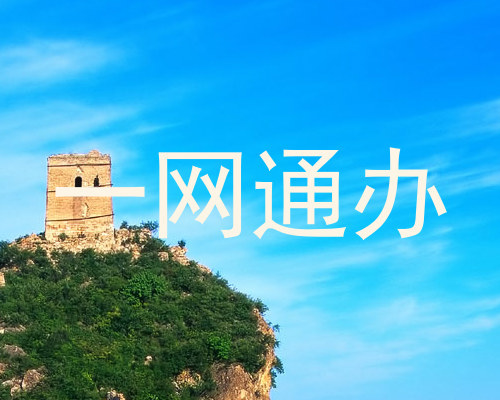 一网通办