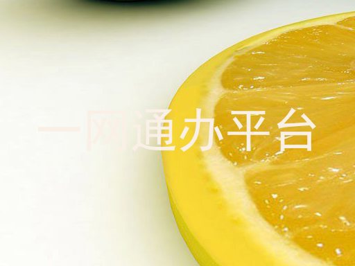 一网通办