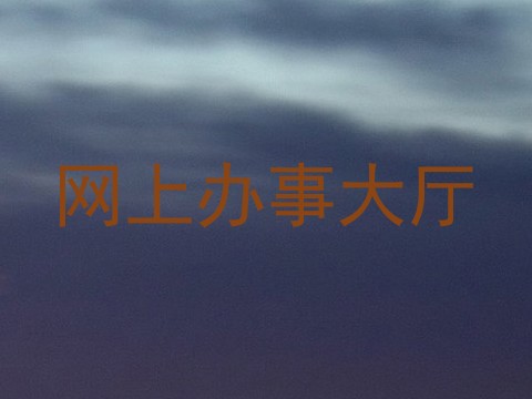 网上办事大厅