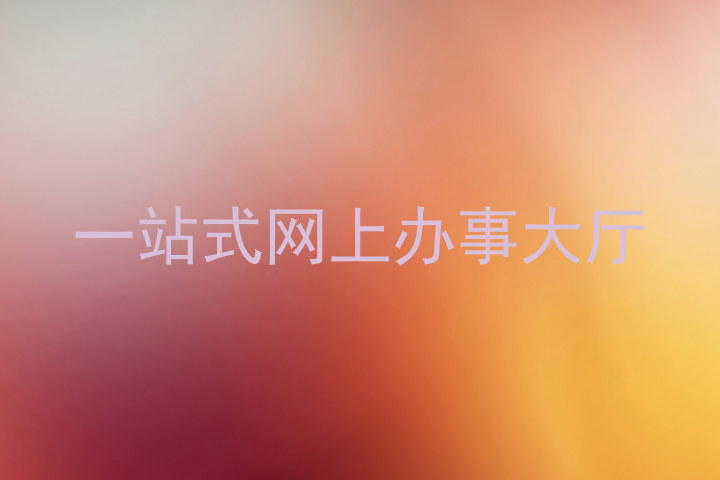一站式网上办事大厅