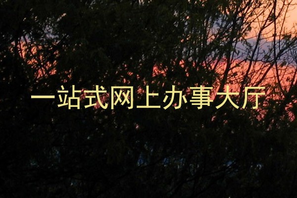 一站式网上办事大厅