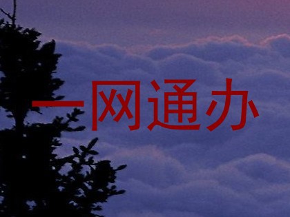 一网通办