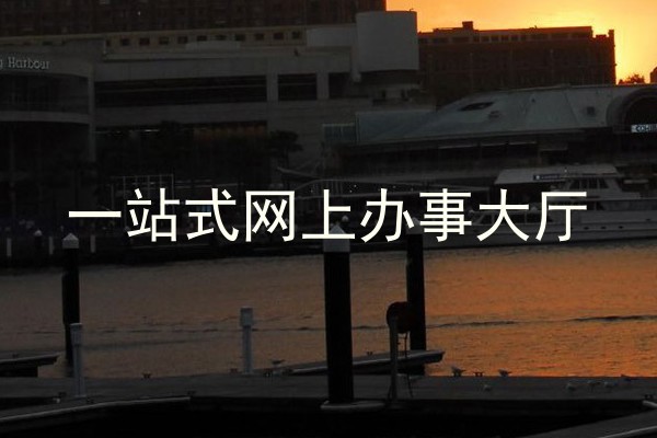 一站式网上办事大厅