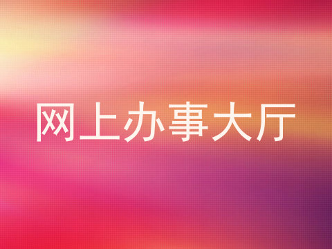 网上办事大厅