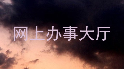 网上办事大厅