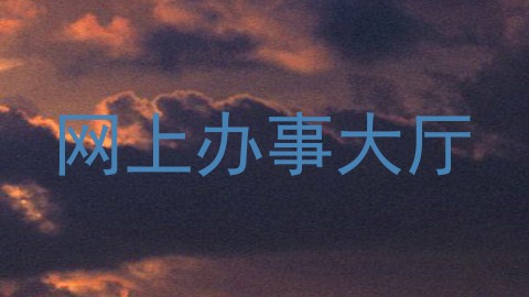 网上办事大厅