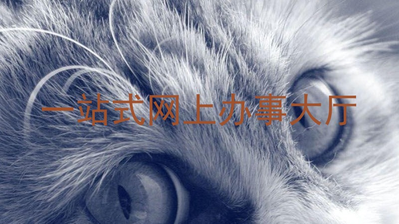 一站式网上办事大厅