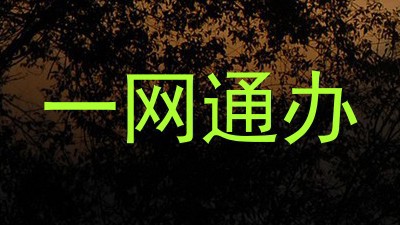 一网通办