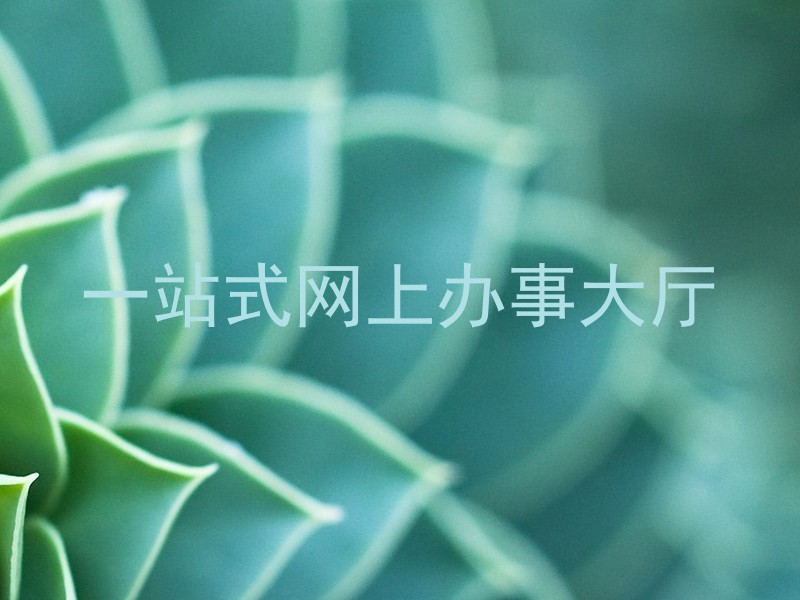 大学流程平台