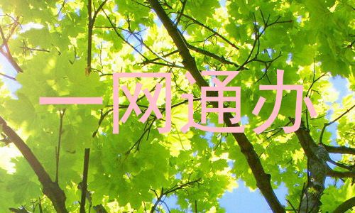 一网通办
