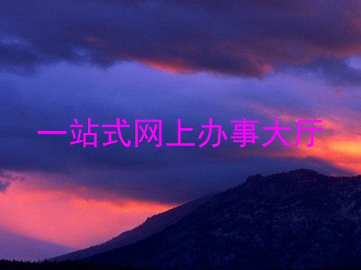一站式网上办事大厅