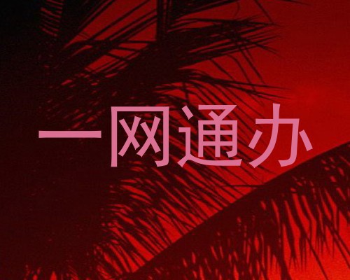 一网通办