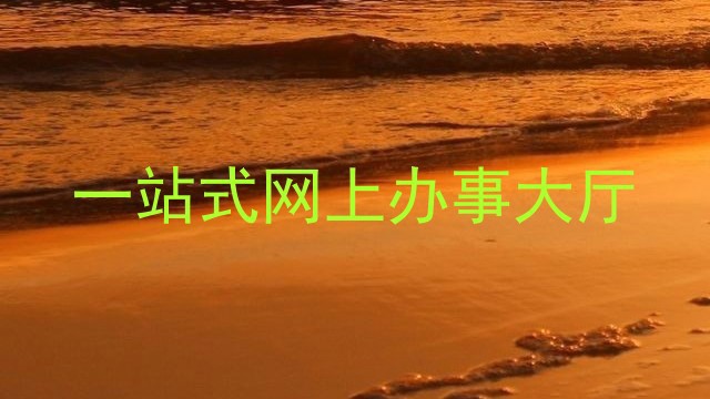 一站式网上办事大厅