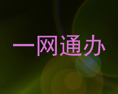 一网通办