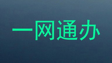一网通办