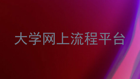 大学网上流程平台