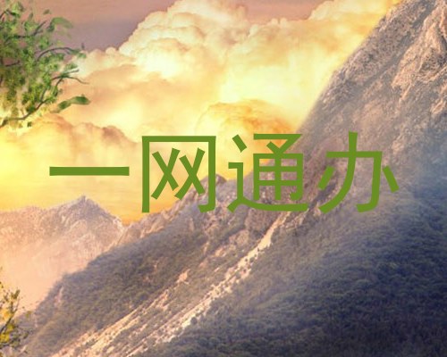 一网通办