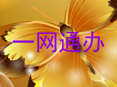 一网通办