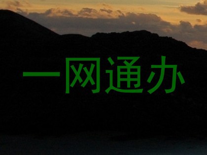 一网通办