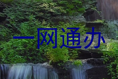 一网通办