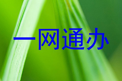 一网通办