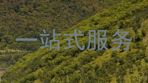 一站式服务