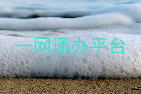 一网通办平台