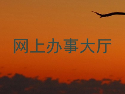 网上办事大厅