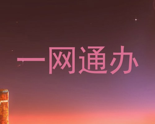 一网通办