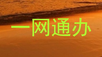 一网通办