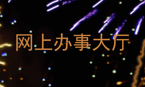 网上办事大厅