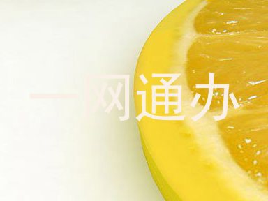 一网通办