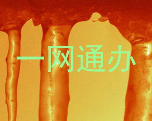 一网通办