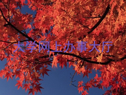 大学网上办事大厅