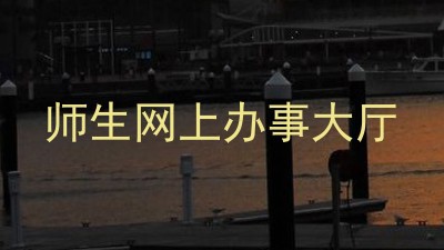 师生网上办事大厅