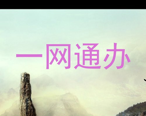 一网通办