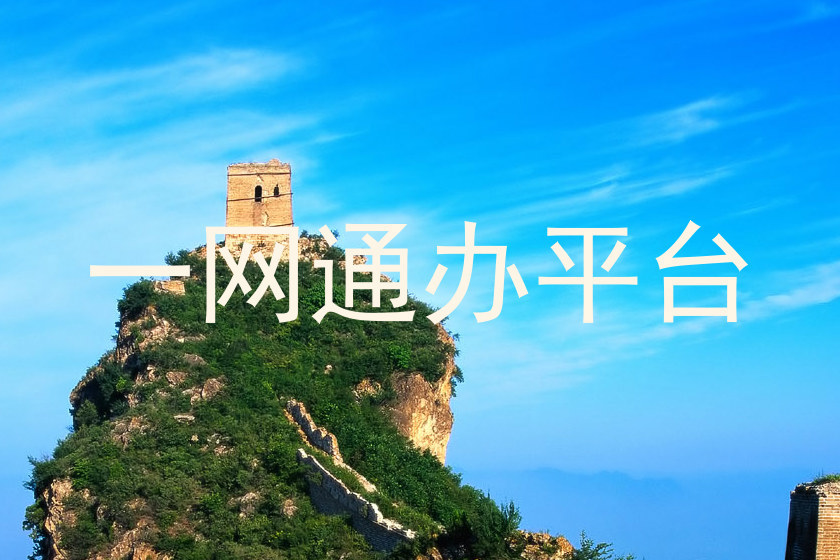 一网通办平台