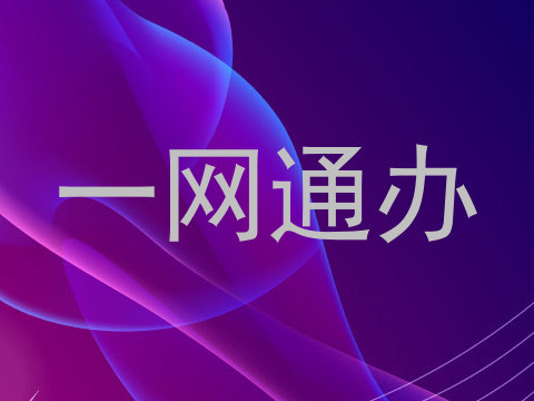 一网通办
