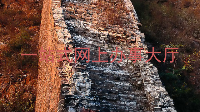 一站式网上办事大厅