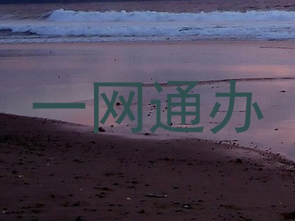 一网通办