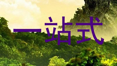 一站式